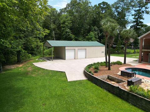 A home in Chapin