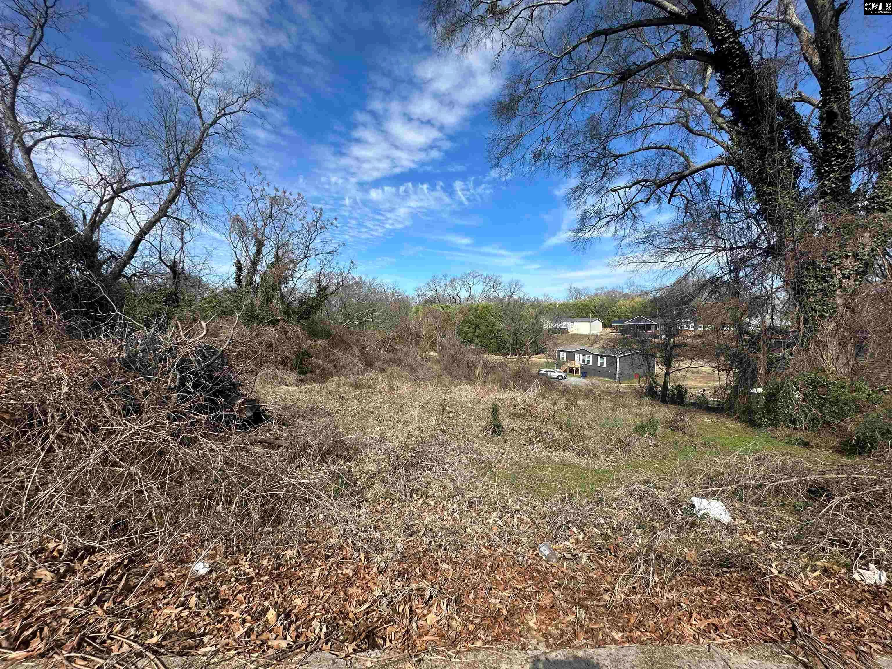 222 Church Street, Jonesville, SC, 29353