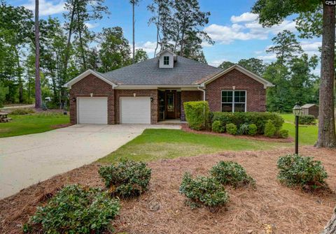 Photo of 219 Hay Lee Drive, Chapin, SC 29036 (MLS # 639384)