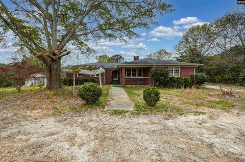 Photo of 49 Nance Street, Newberry, SC 29108 (MLS # 630689)