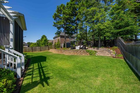 A home in Chapin