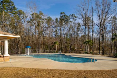 A home in Chapin