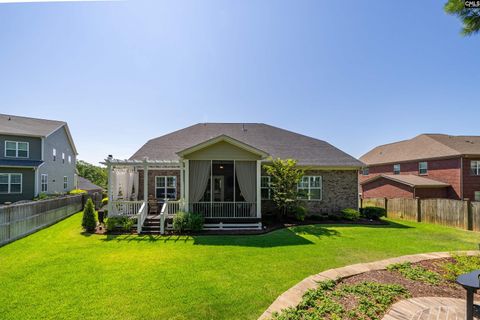 A home in Chapin