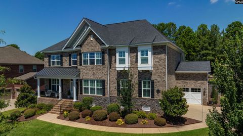 A home in Chapin