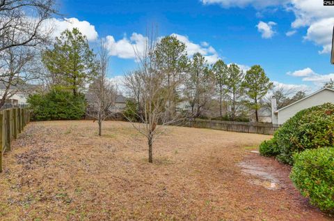 A home in Irmo