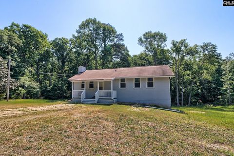 Photo of 1133 Old Hilton Road, Chapin, SC 29036 (MLS # 633037)