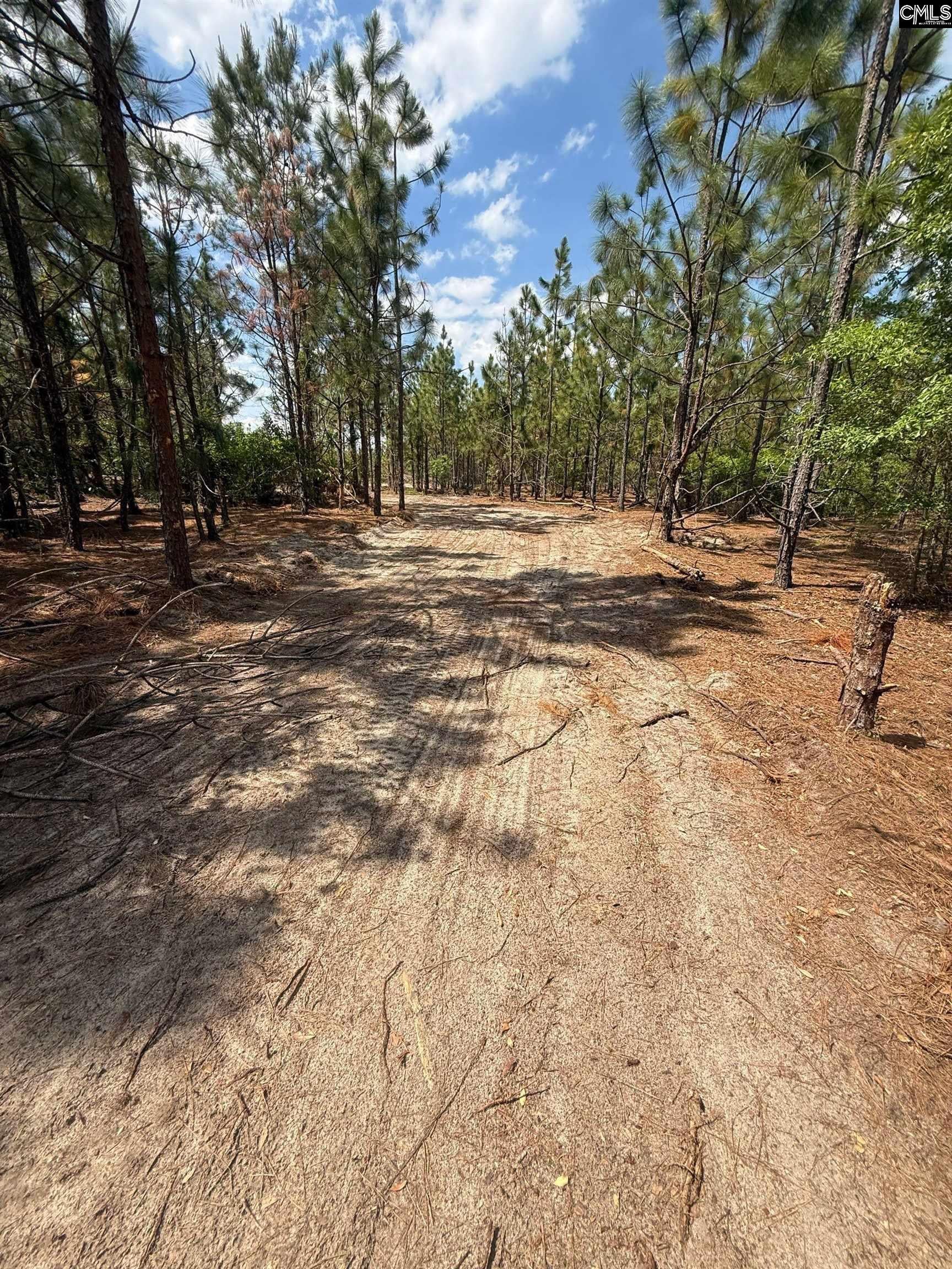 350 Payne Pond Road Unit Lot # 11, Westville, SC, 29175