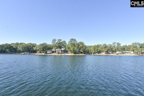 A home in Chapin