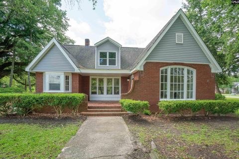 Photo of 318 Summerland Avenue, Batesburg, SC 29006 (MLS # 611533)