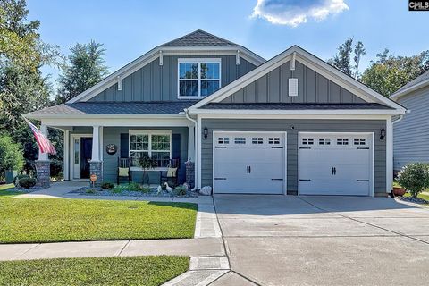 Photo of 705 Ruskin Drive, Chapin, SC 29036 (MLS # 617485)