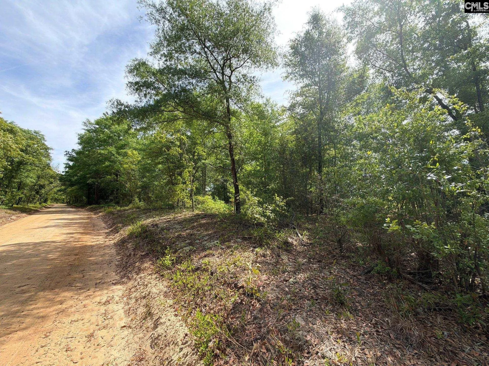 RRF 7 Rogers Cemetery Road, Salley, SC, 29137