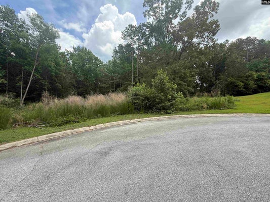 243 FAIR RIDGE LN, BLYTHEWOOD, SC 29016 - Image 264e5de7231c4112e4dd3f58b209b78c/2467694324