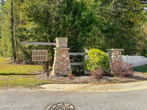 A home in Chapin