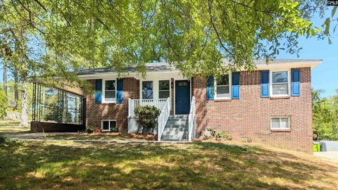 Photo of 256 Waterford Drive, Columbia, SC 29203 (MLS # 630756)