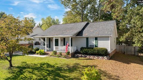 Photo of 709 Riverwalk, Irmo, SC 29063 (MLS # 619301)