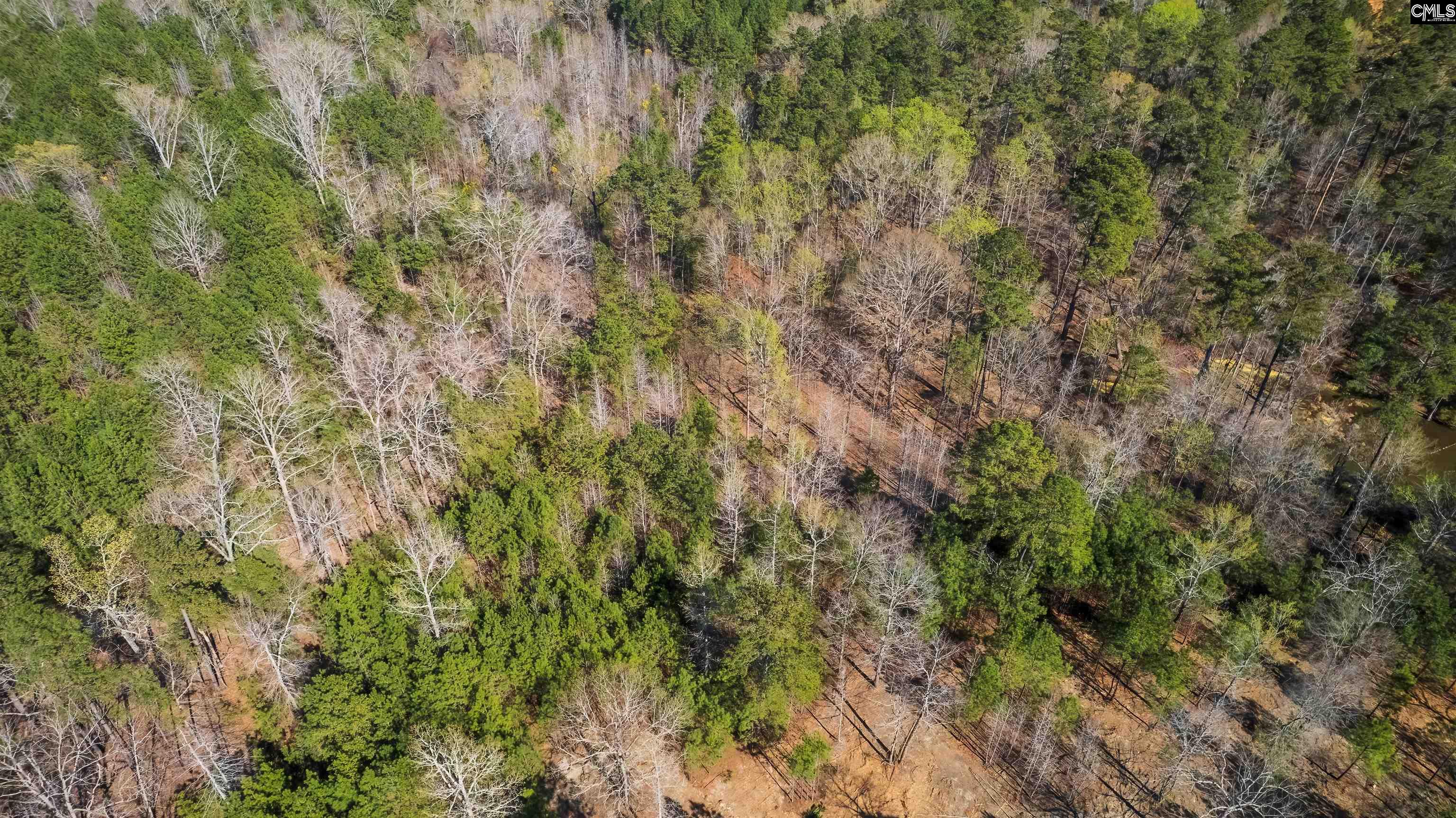 359 Holly Point Road - Photo 4
