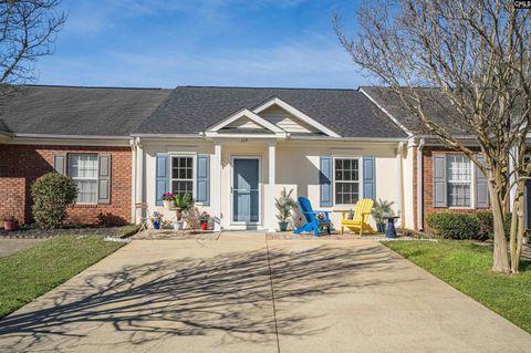 Photo of 119 Barrington Drive Dr, Lexington, SC 29072 (MLS # 629456)