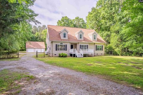 Photo of 825 Westwoods Drive, Chapin, SC 29036 (MLS # 634052)