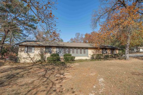 Photo of 194 Eargle Drive, West Columbia, SC 29170 (MLS # 622069)