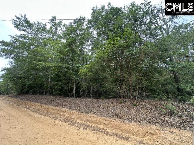 Photo 1 of 3 — 206 Bub Wise Road, Swansea, SC 29160