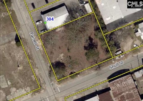 Unimproved Land in West Columbia SC 300 Parnell Street 11.jpg