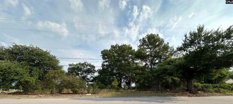 Unimproved Land in West Columbia SC 300 Parnell Street 7.jpg