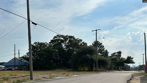 Unimproved Land in West Columbia SC 300 Parnell Street 9.jpg