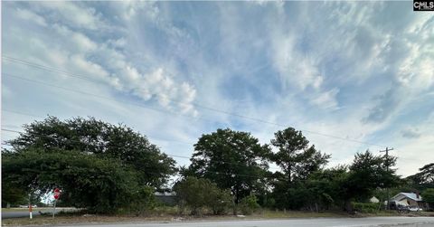 Unimproved Land in West Columbia SC 300 Parnell Street.jpg