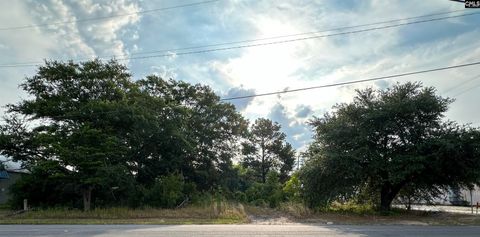 Unimproved Land in West Columbia SC 300 Parnell Street 3.jpg