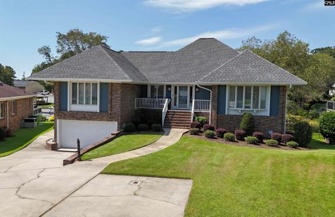 Photo of 128 Cove Court, Irmo, SC 29063 (MLS # 617159)