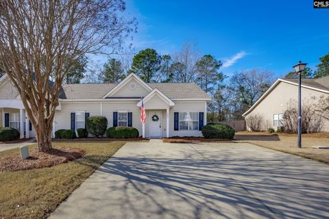 Photo of 115 Cabot Bay Drive, Lexington, SC 29072 (MLS # 625535)