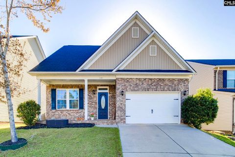 Photo of 141 Palm Street, Chapin, SC 29036 (MLS # 629141)