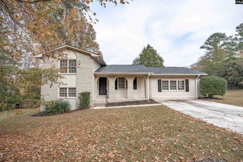 Photo of 204 Park Road, Lexington, SC 29072 (MLS # 626954)