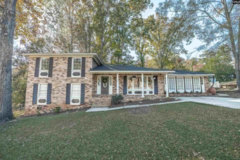 Photo of 231 Rushing Wind Drive, Irmo, SC 29063 (MLS # 621910)