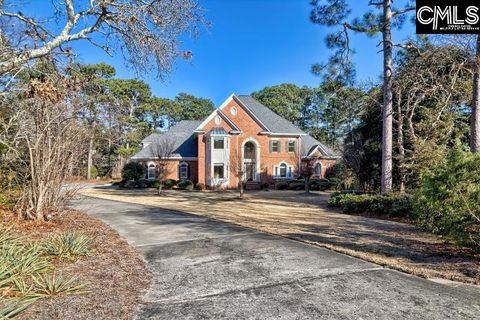 Photo of 1119 Enclave Way, Columbia, SC 29223 (MLS # 625847)