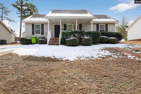 Photo of 200 New Way Road, Columbia, SC 29223 (MLS # 627174)