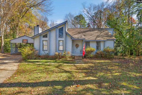 Photo of 119 Logan Rock Court, Irmo, SC 29063 (MLS # 622344)