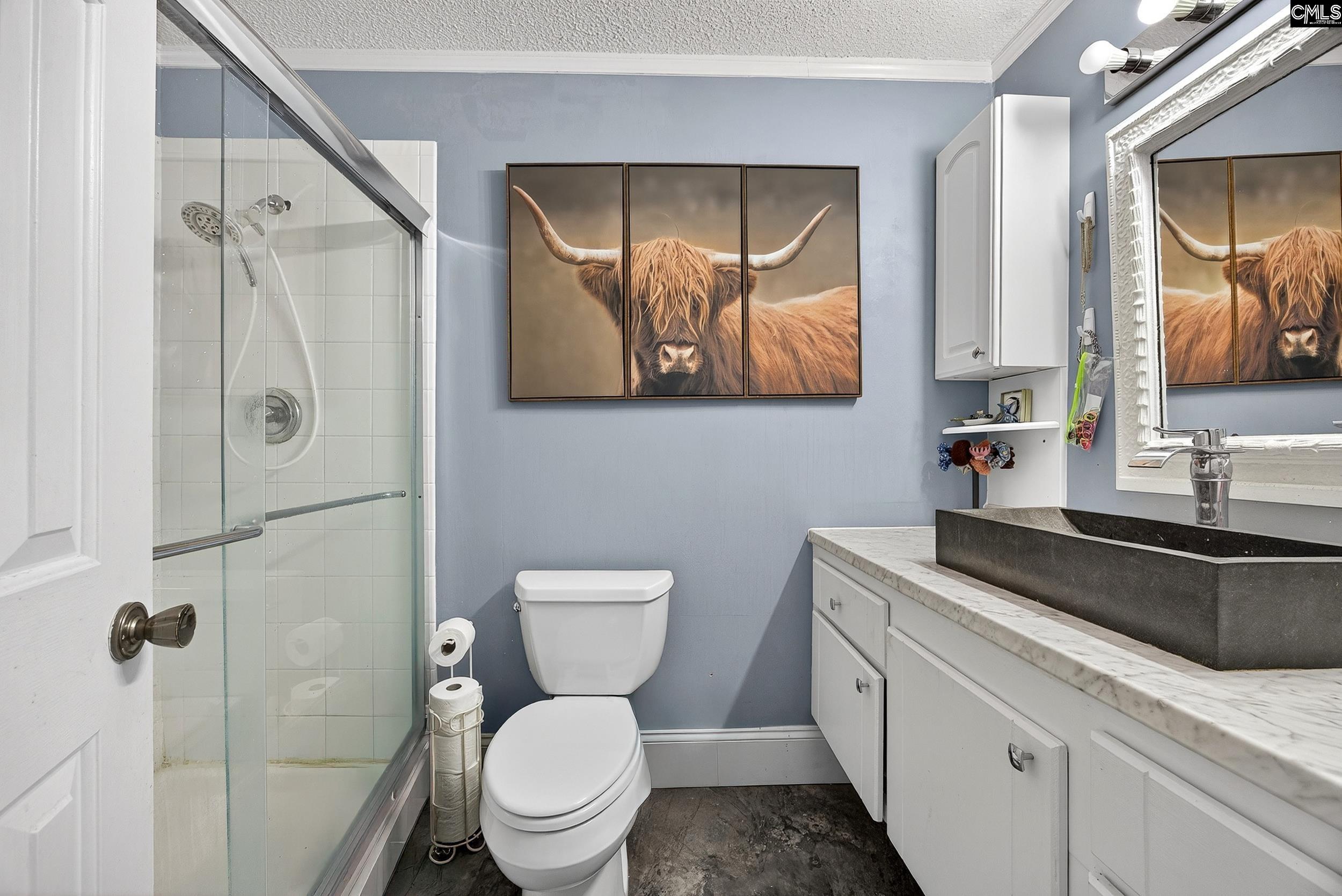 Irmo, South Carolina 29063, United States, 3 Bedrooms Bedrooms, ,2 BathroomsBathrooms,Residential,Active,248271