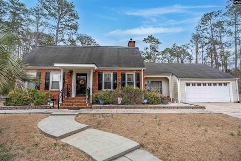 Photo of 104 Crowe Court, Columbia, SC 29210 (MLS # 627393)