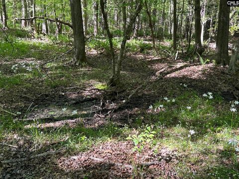 TBD Martin Road Chapin SC 29036