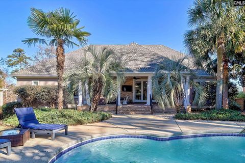 Photo of 417 Oxenbridge Way, Chapin, SC 29036 (MLS # 623453)