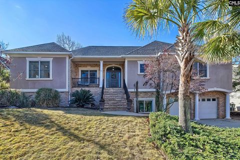 Photo of 417 Oxenbridge Way, Chapin, SC 29036 (MLS # 623453)