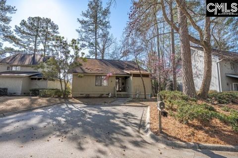 Photo of 14 Shadow Creek Court, Columbia, SC 29209 (MLS # 627697)