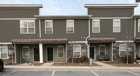 Photo of 325 High Grove Way, Columbia, SC 29210 (MLS # 627111)