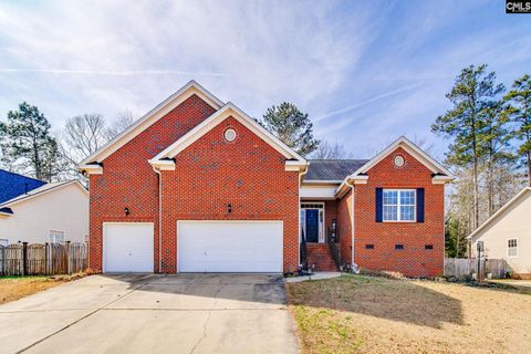 Photo of 137 Oldtown Drive, Lexington, SC 29072 (MLS # 627485)