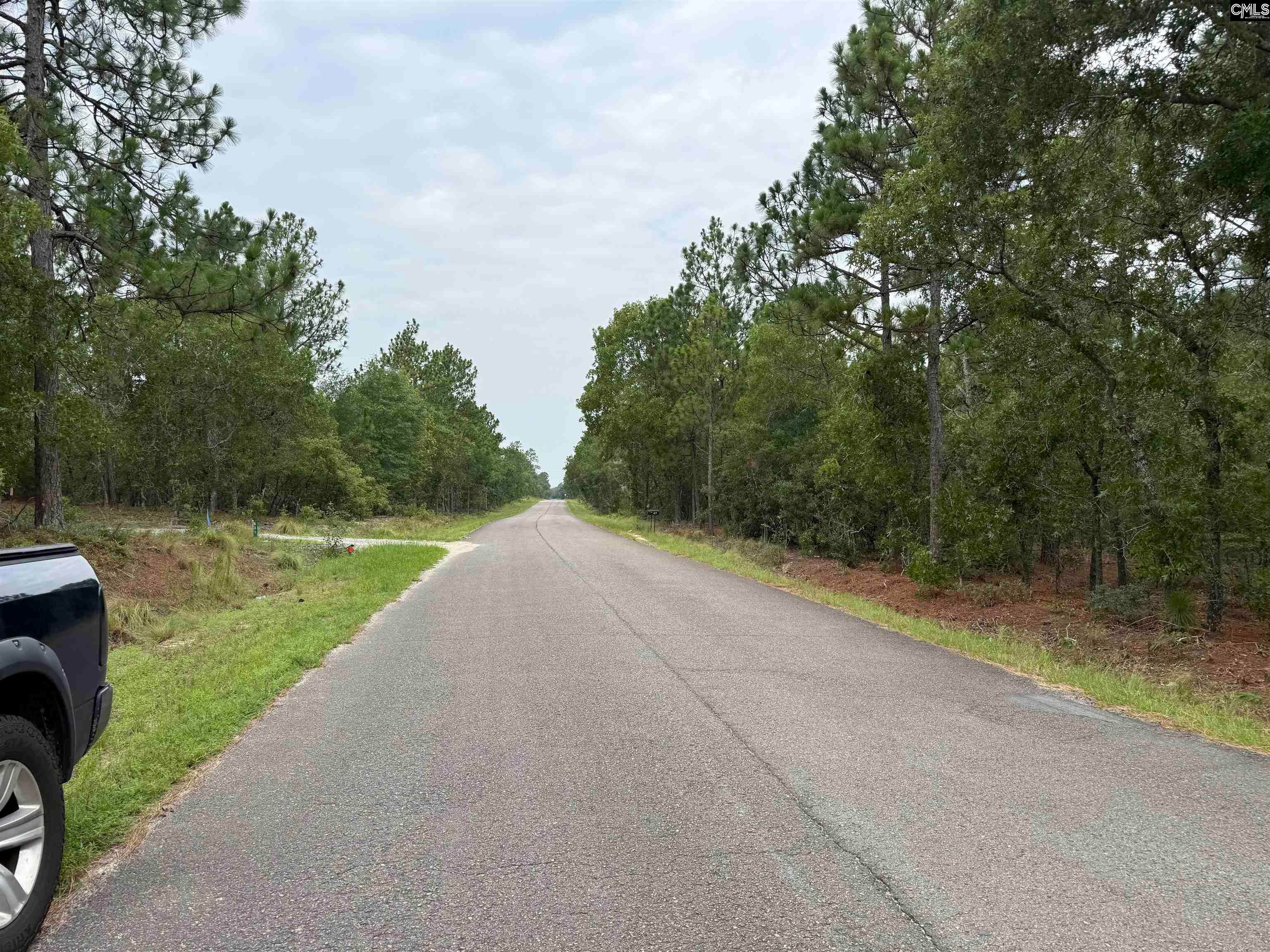 Near 615 Browns Pond Road, Wagener, SC, 29164
