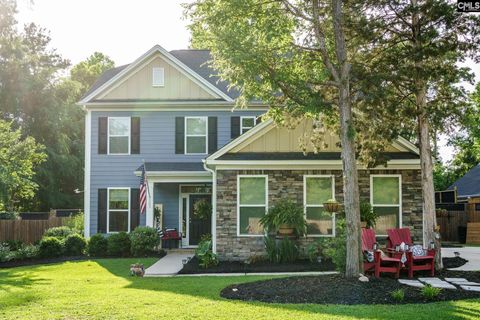 303 Pine Meadow Drive Chapin Sc 29036
