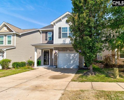 A home in Chapin