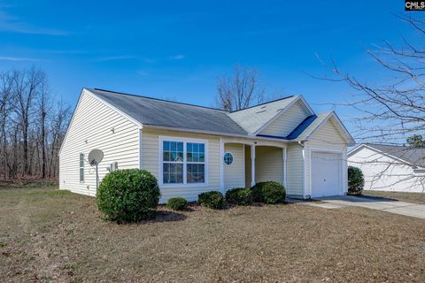 Photo of 331 Freeman Drive, Gaston, SC 29053 (MLS # 628517)