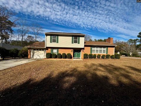 Photo of 1001 Gardendale Dr, Columbia, SC 29210 (MLS # 623706)
